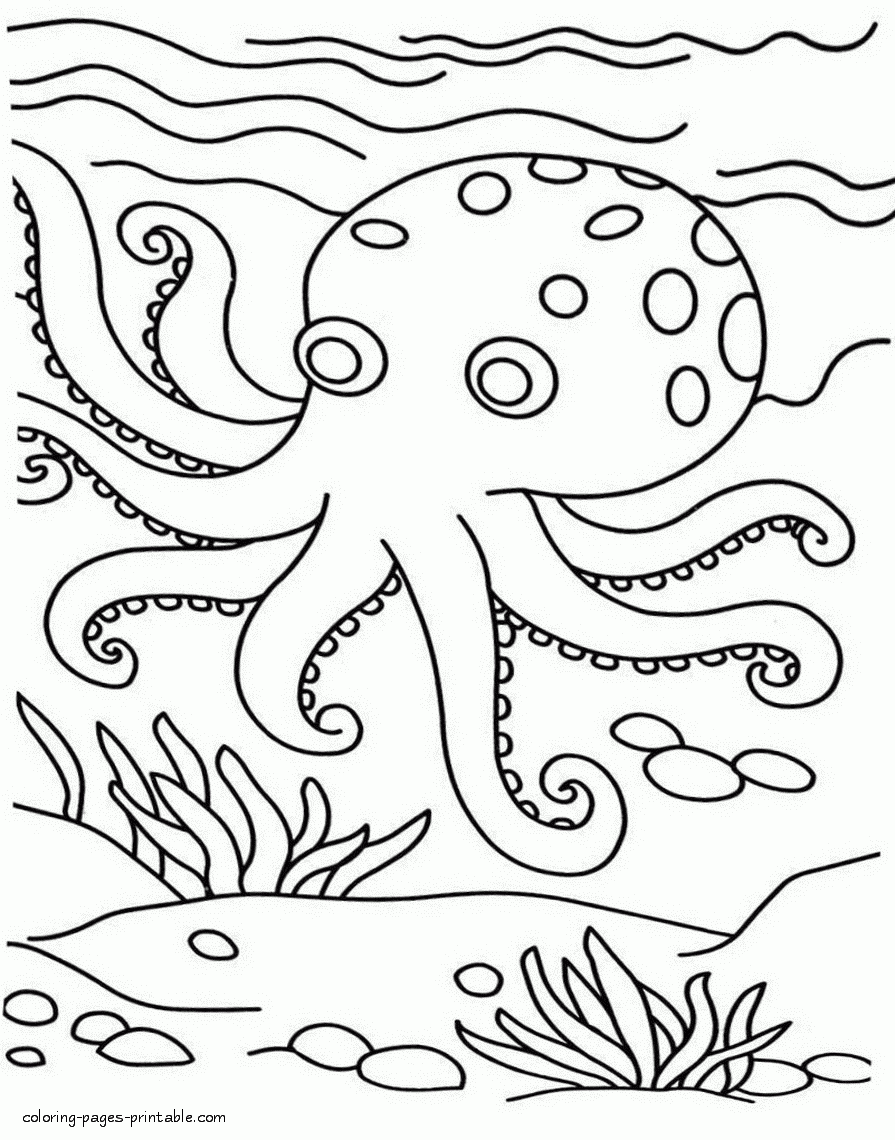 Sea Animals Coloring Pictures Octopus COLORING PAGES PRINTABLE COM