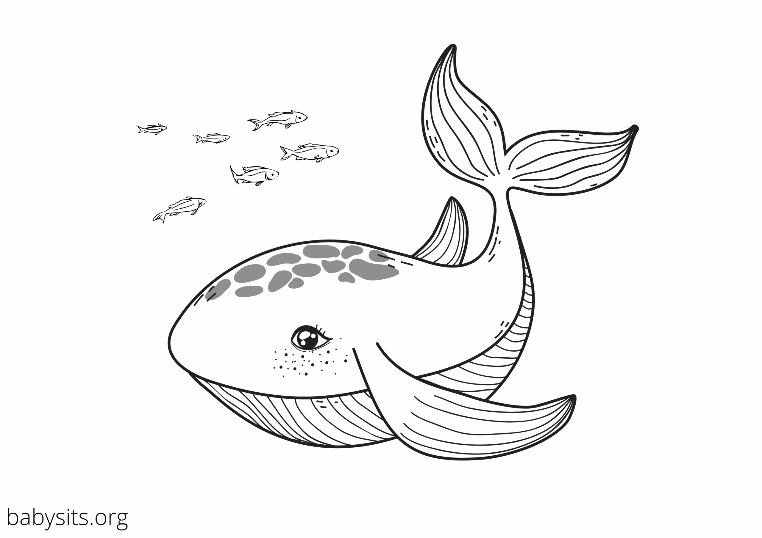 Sea Creatures Coloring Pages Printables