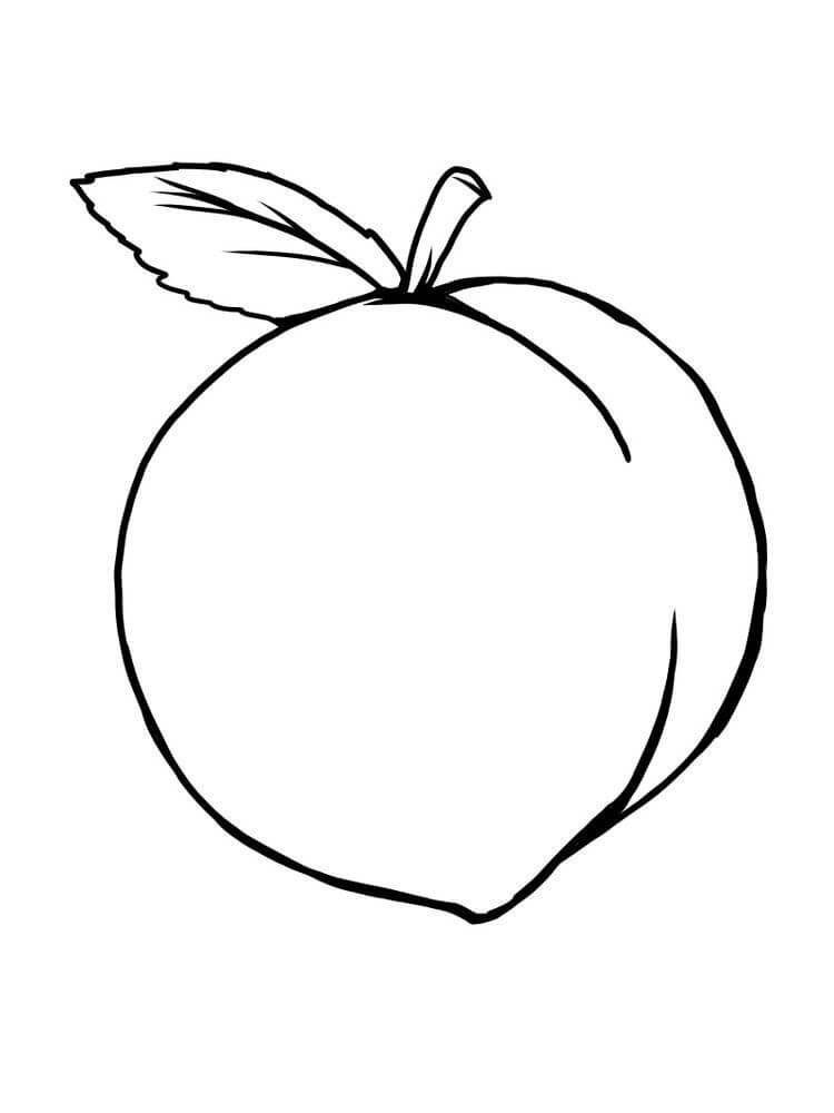 Simple Peach Fruit Coloring Page Free Printable Coloring Pages For Kids