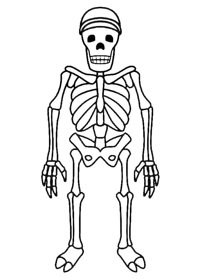 Skeleton Coloring Pages Free Printable PDF 