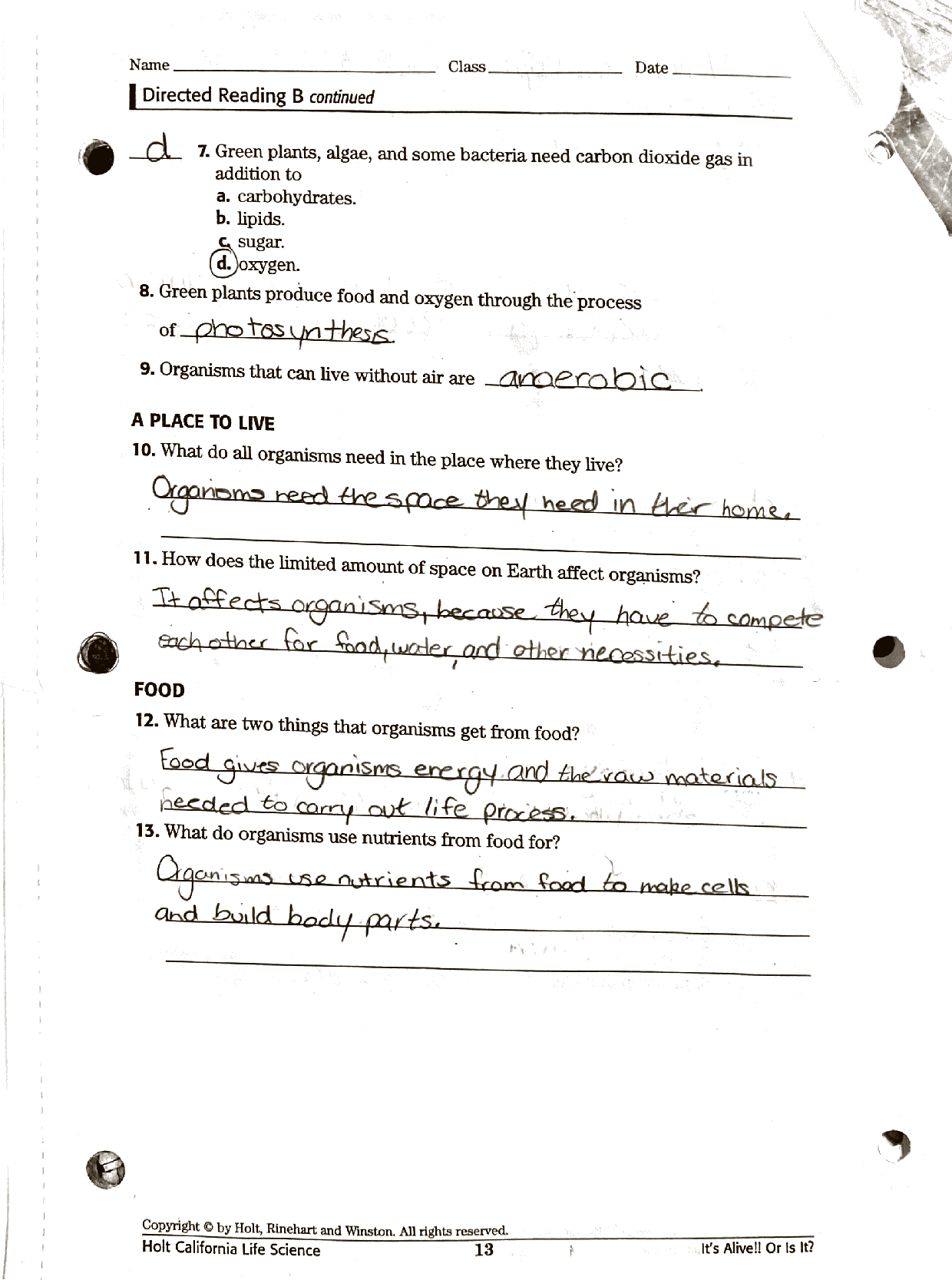 SOLUTION Necessities Of Life Directed Reading Worksheet Studypool