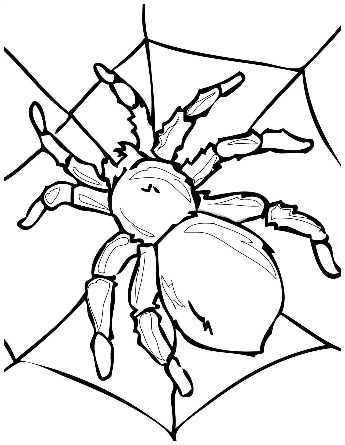 free coloring pages insects