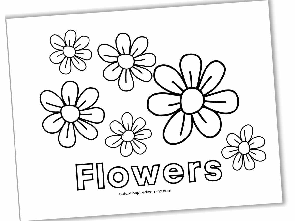 Spring Coloring Pages Printable Pdf