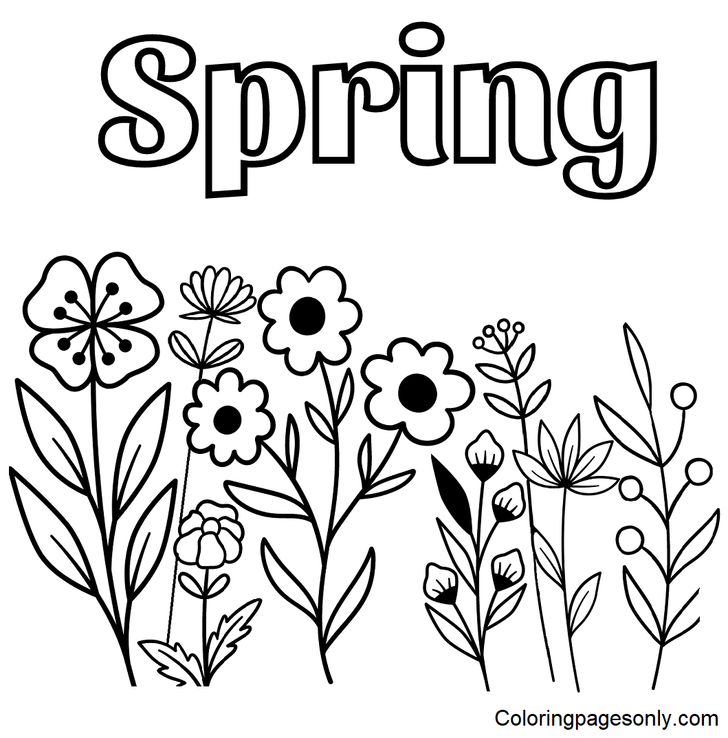 flowers coloring pages free