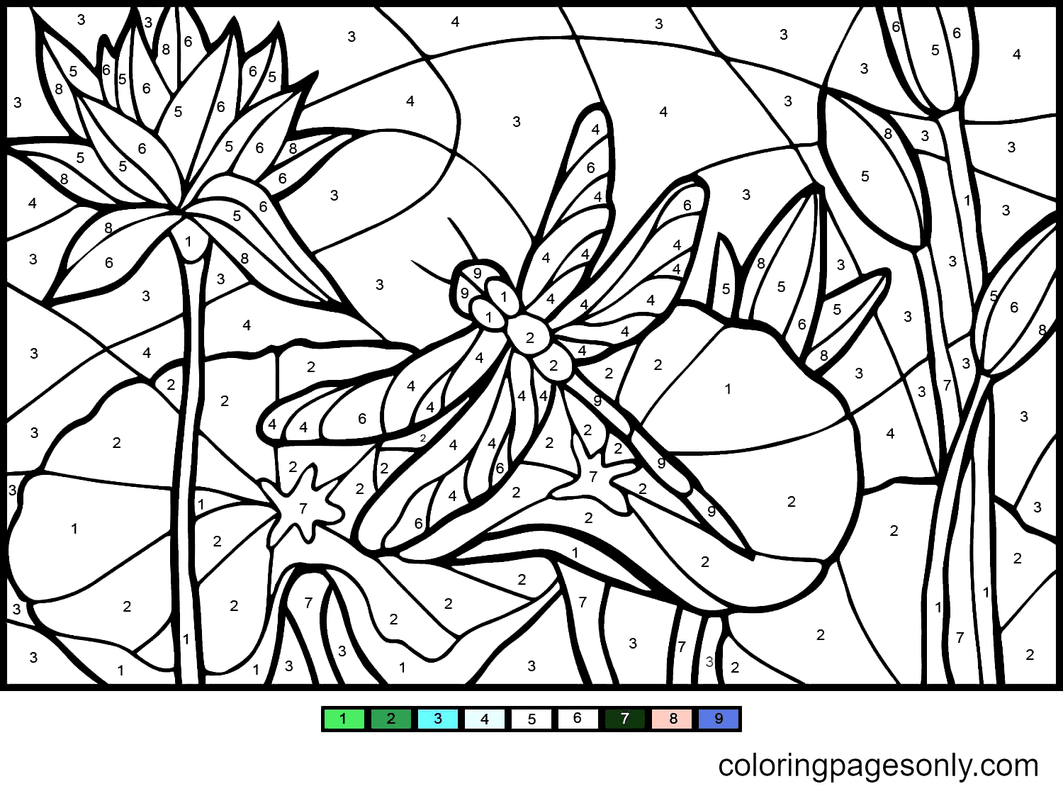 Sunflower Color By Number Coloring Pages Color By Number Coloring 