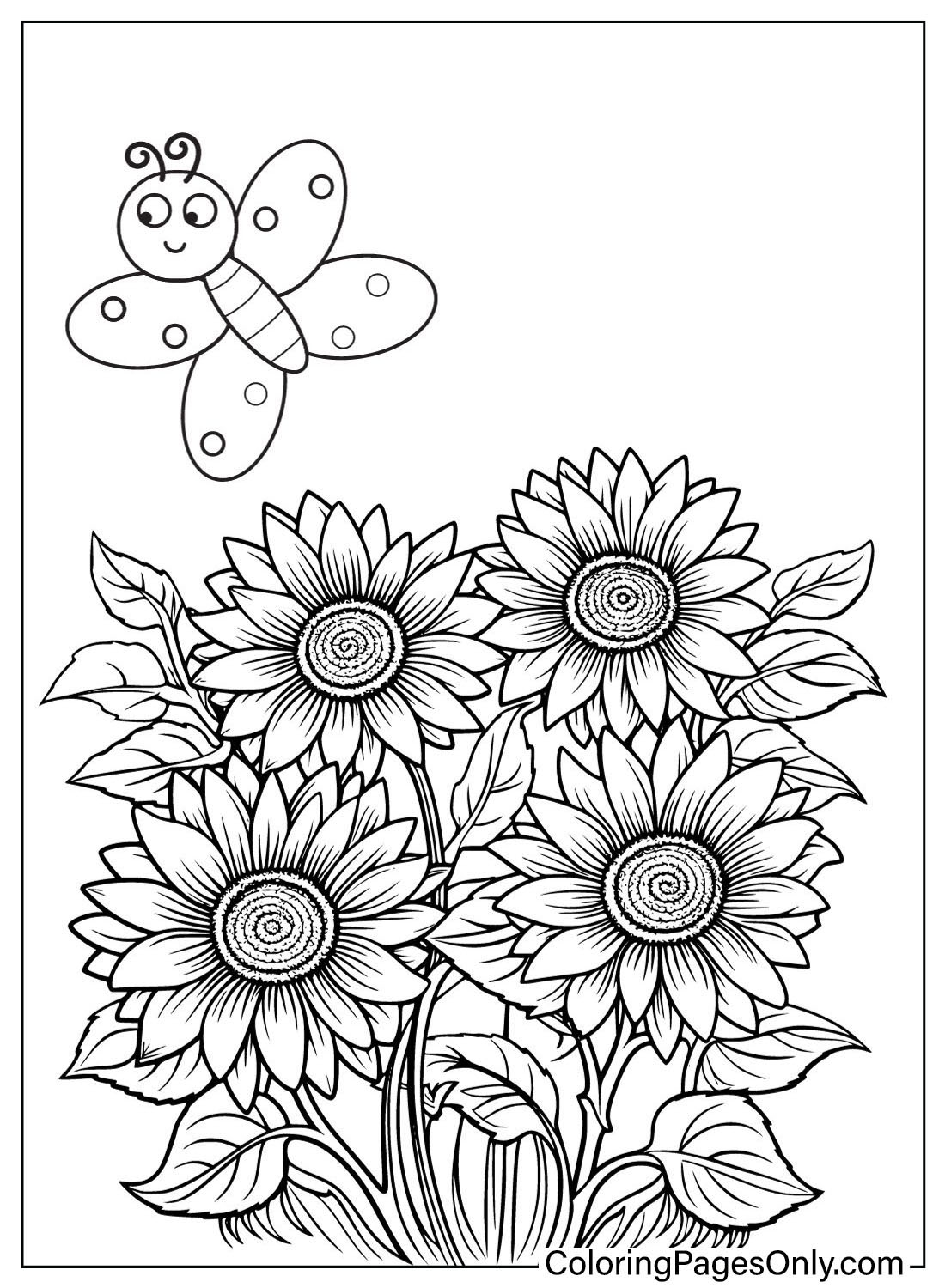 Sunflower Color Page Free Printable Coloring Pages