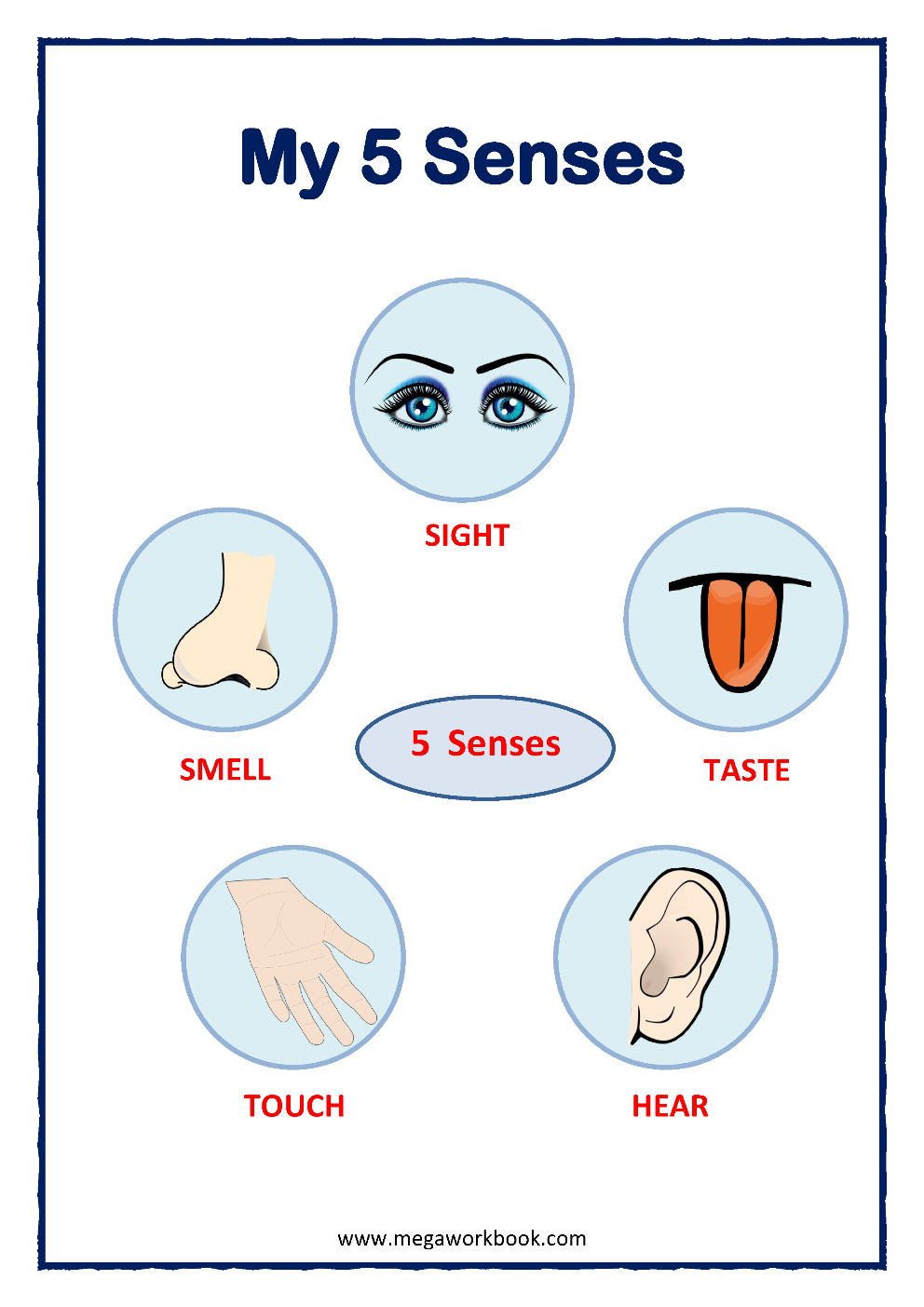 The 5 Senses Worksheets For Preschool The Hollydog Blog Worksheets