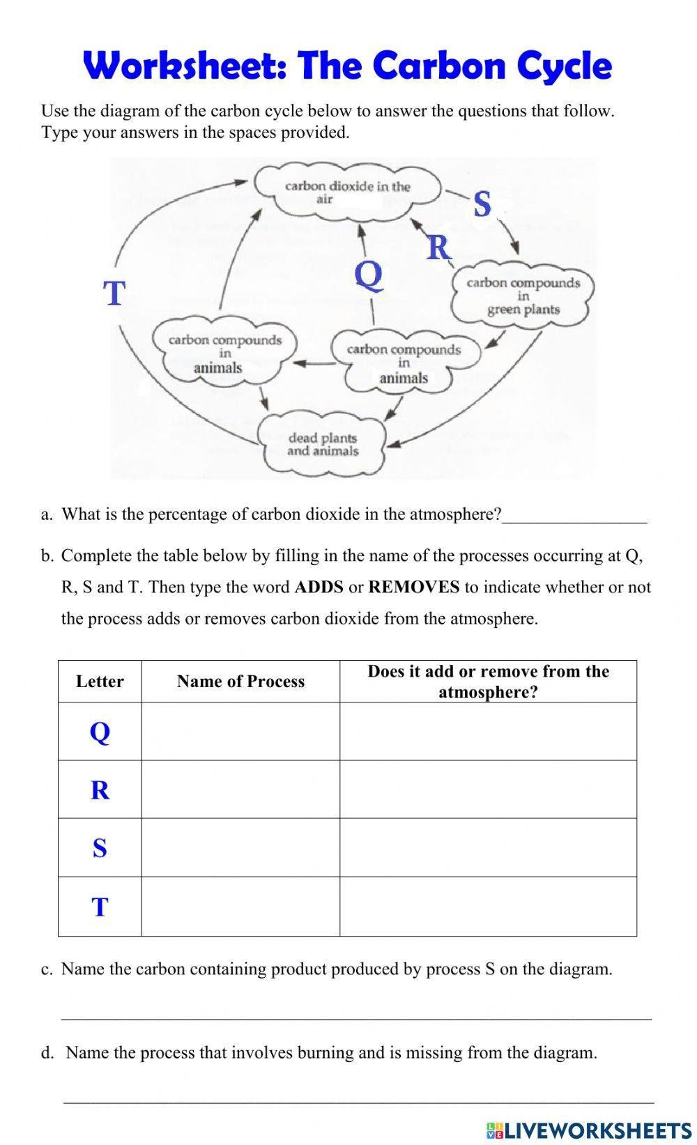 The Carbon Cycle ScienceB Live Worksheets Worksheets Library