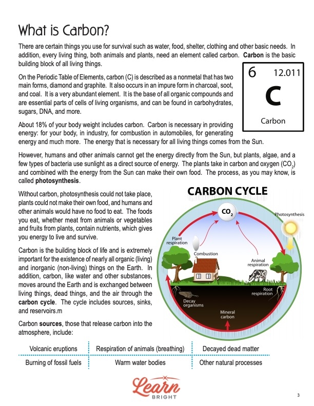 the carbon cycle worksheet