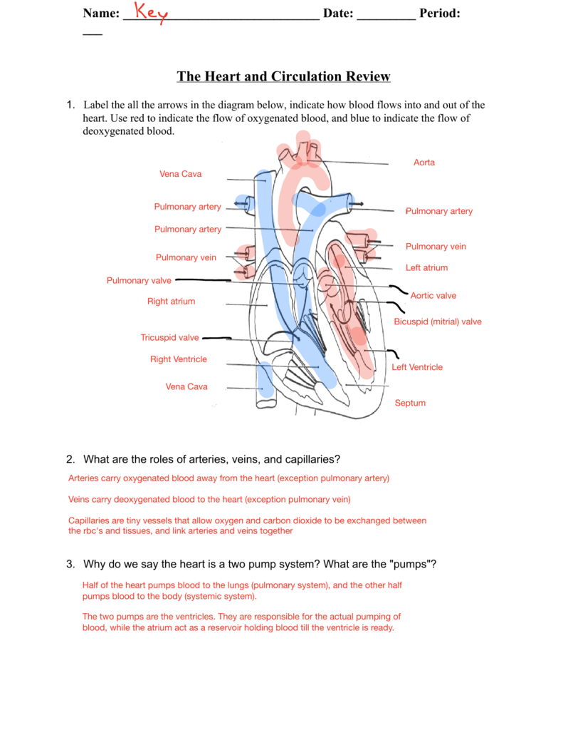 how to find the answer key to any worksheet