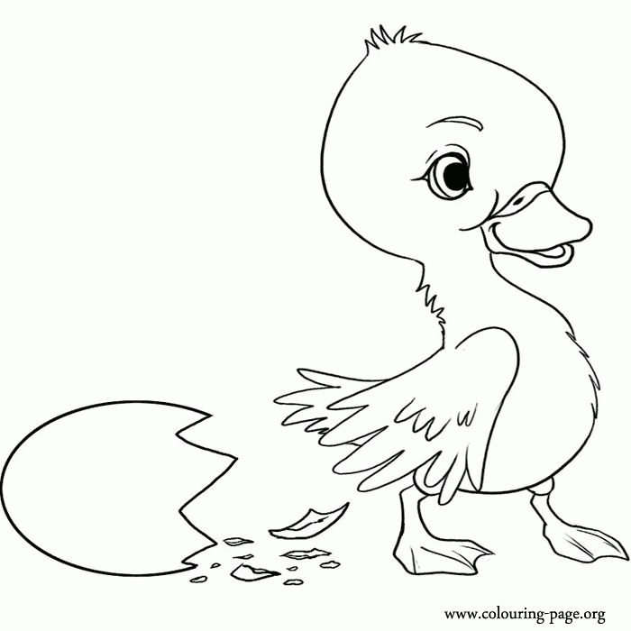 The Ugly Duckling Coloring Pages Coloring Home