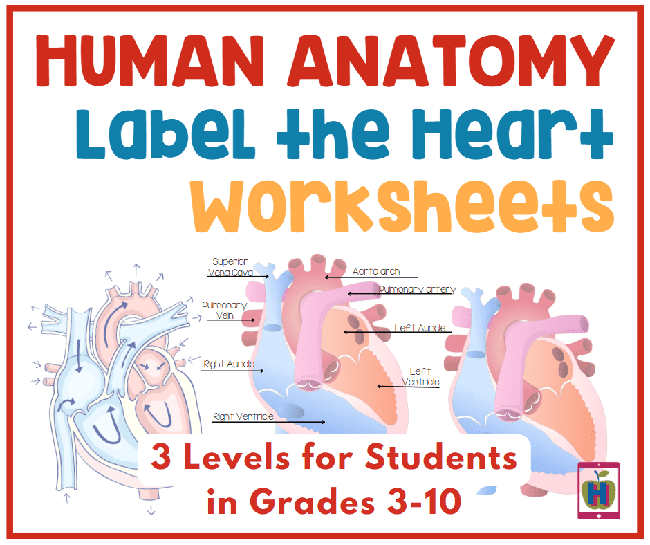 free preschool worksheets age 2 3