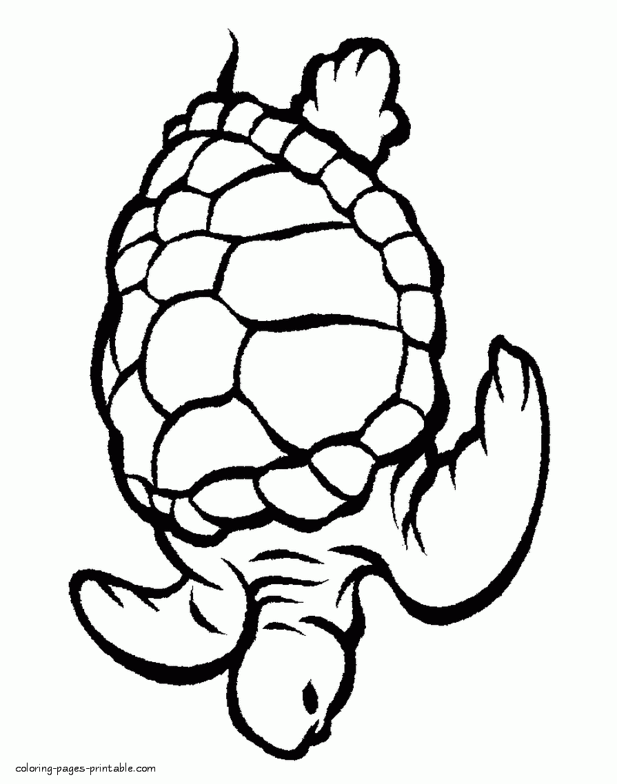 Sea Animals Coloring Page