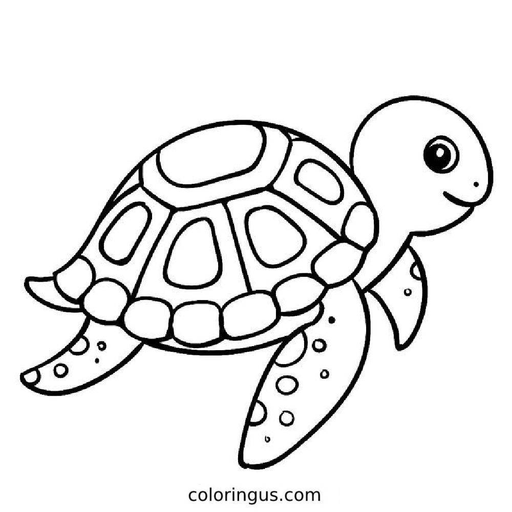 printable coloring pages turtle
