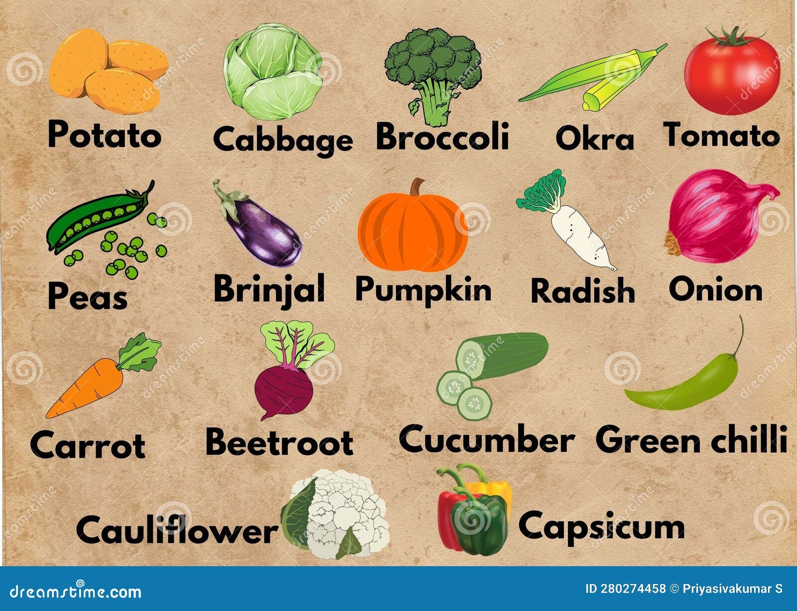 Vegetable Names Vegetables With Pictures Printable Book For Kids 1 