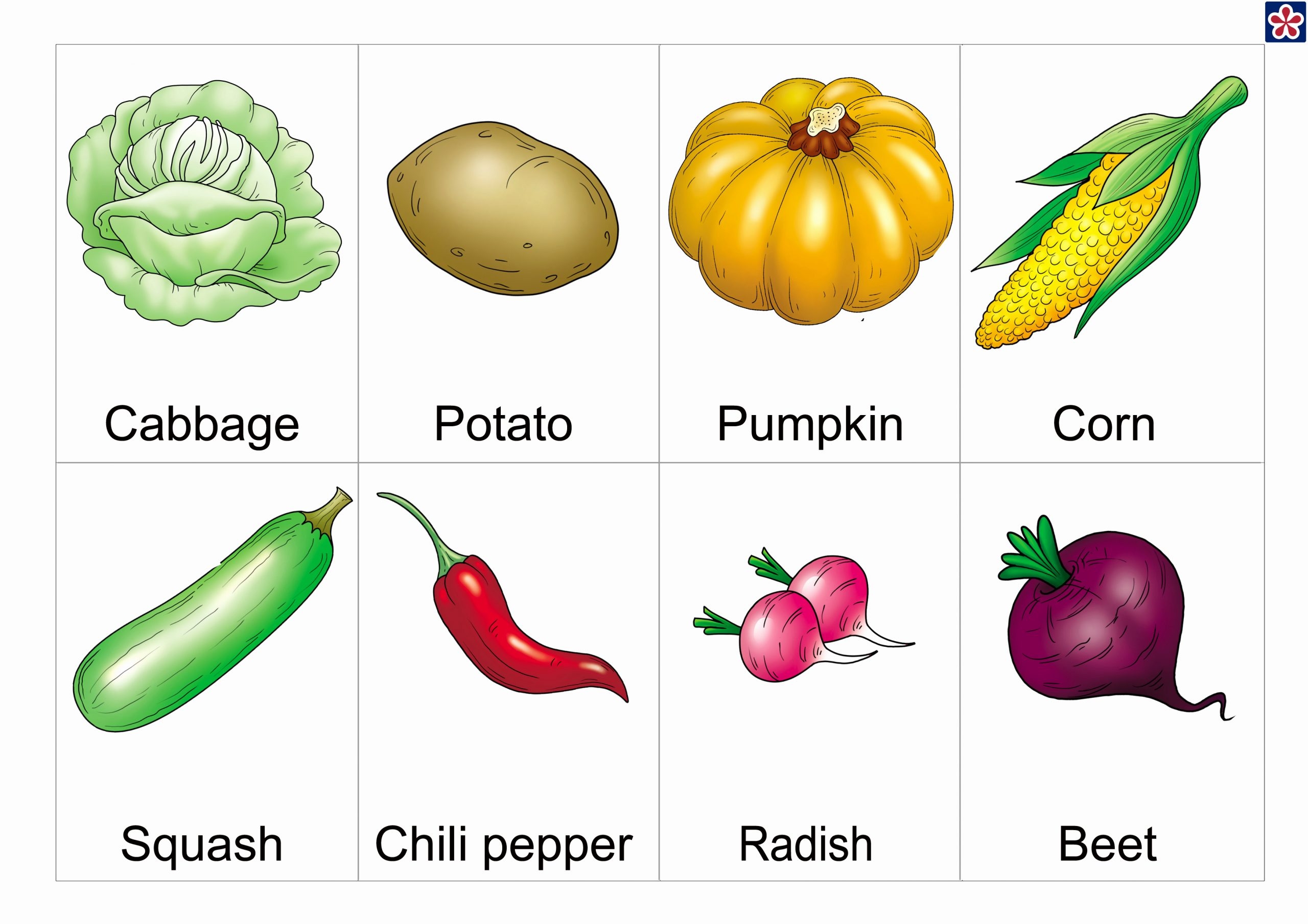 Vegetable Worksheets For Preschool New Free Printable Ve Ables