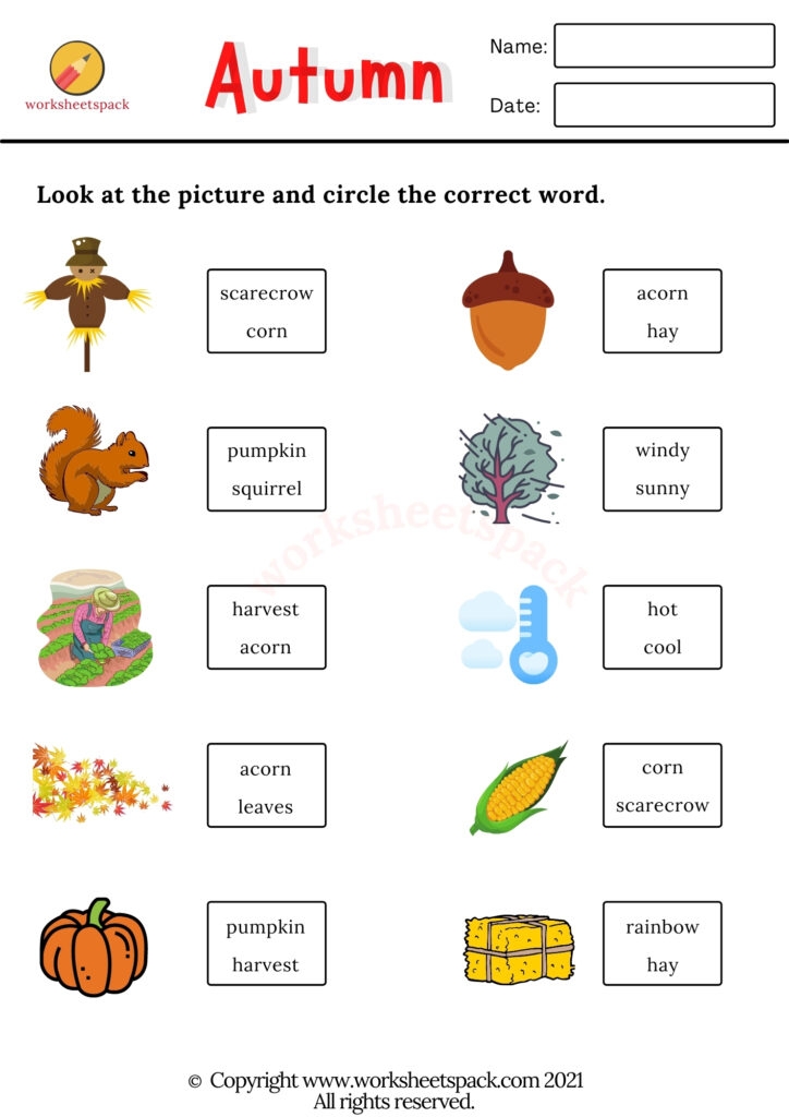 fall worksheet