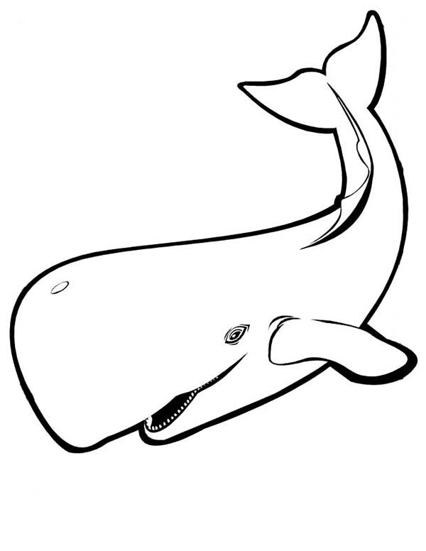 Whale Coloring Page Kids Play Color