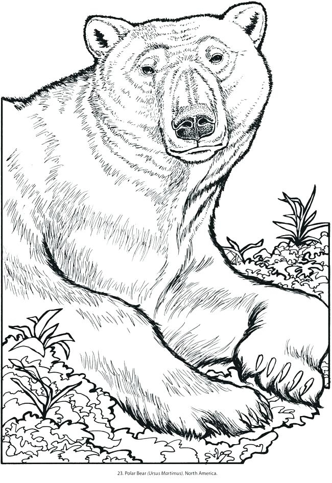 free coloring pages animals printable