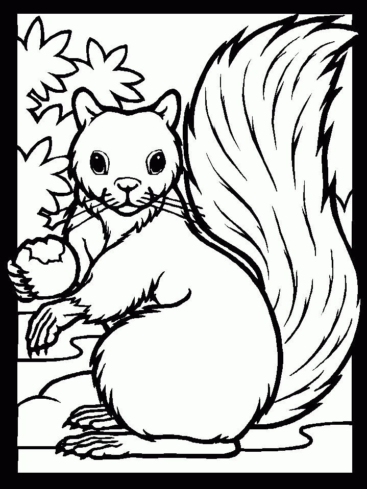 free printable wildlife coloring pages