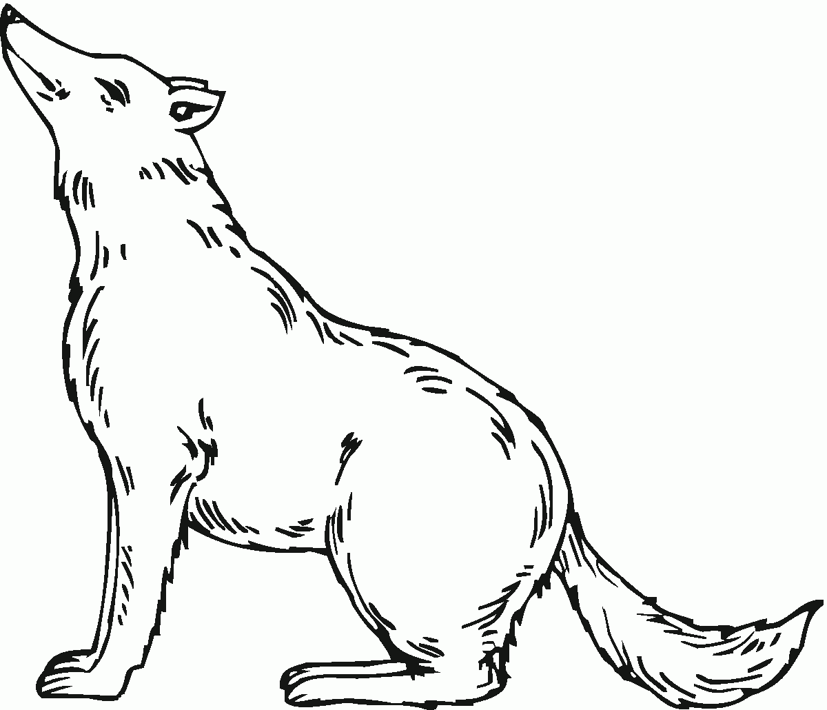 printable wolf pictures