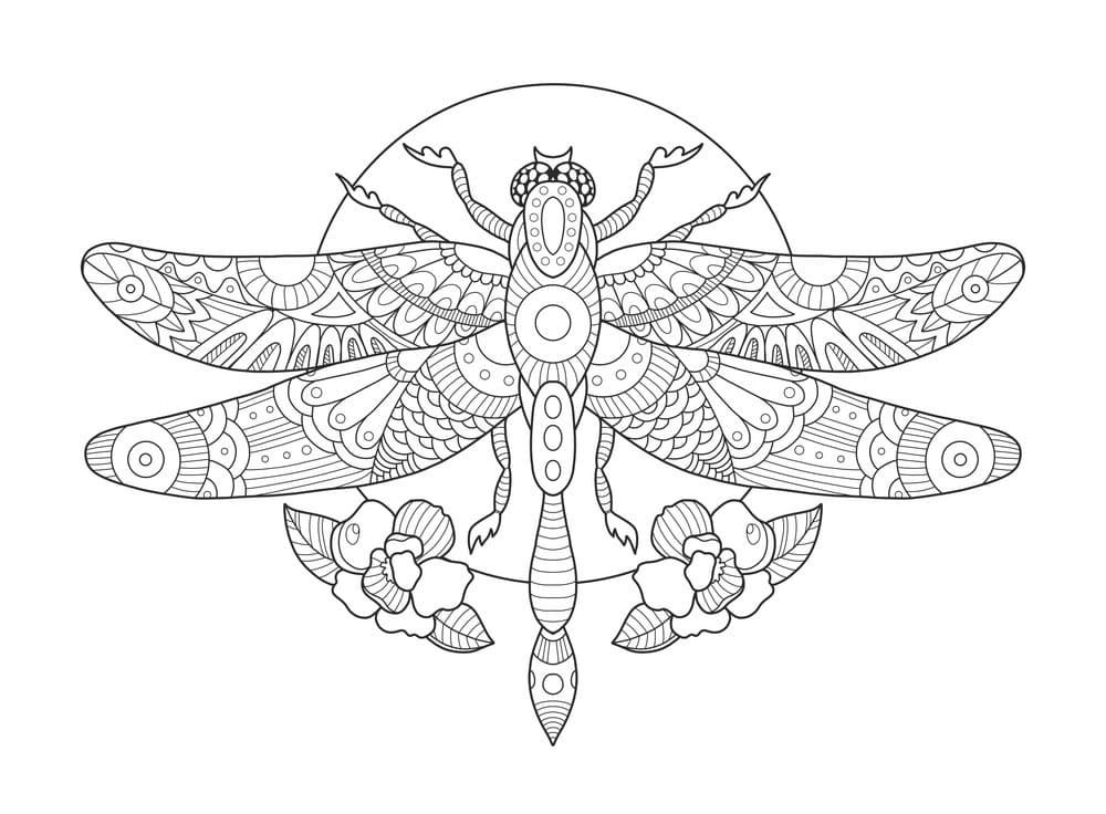 Wonderful Dragonfly