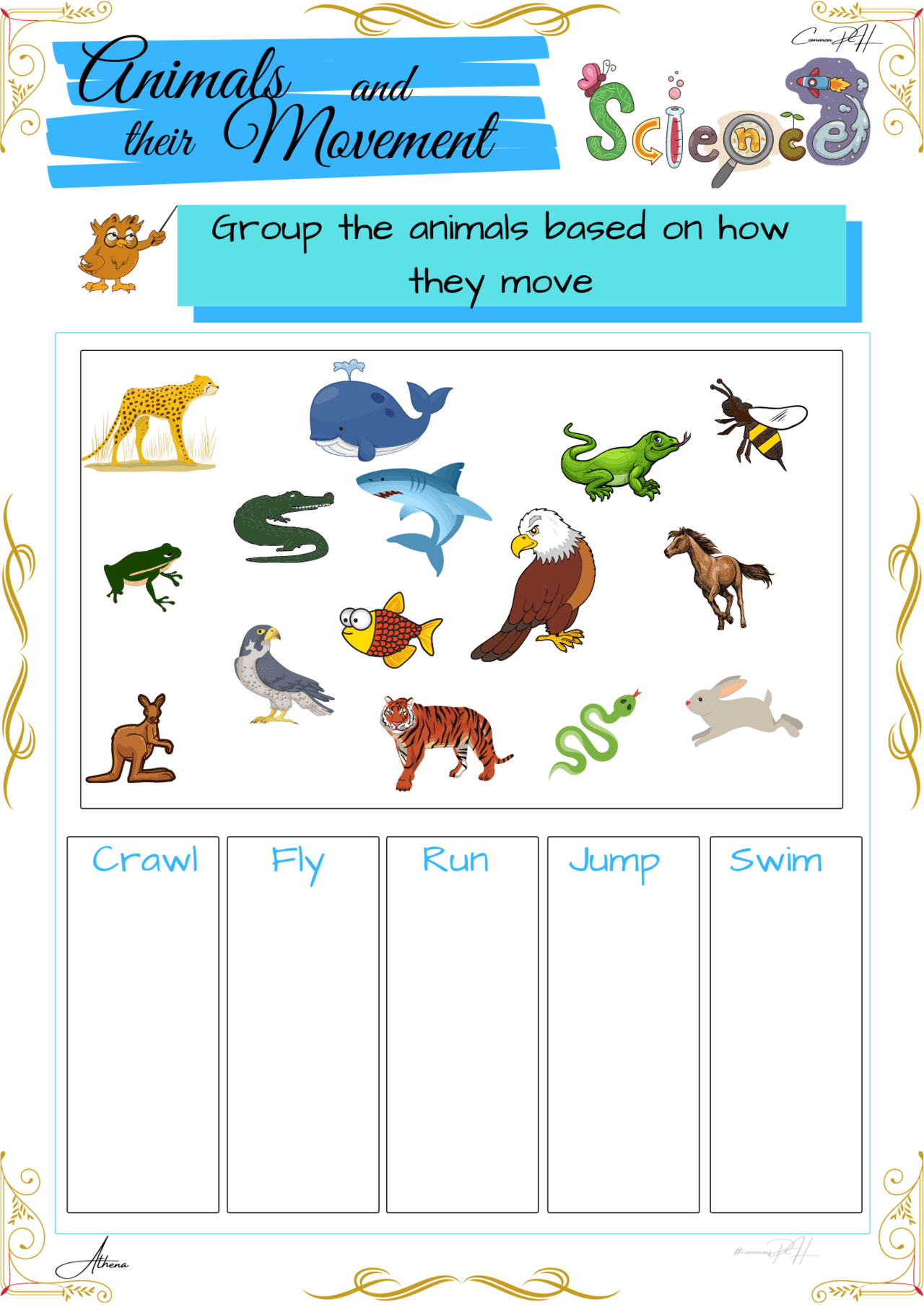 first grade science worksheets